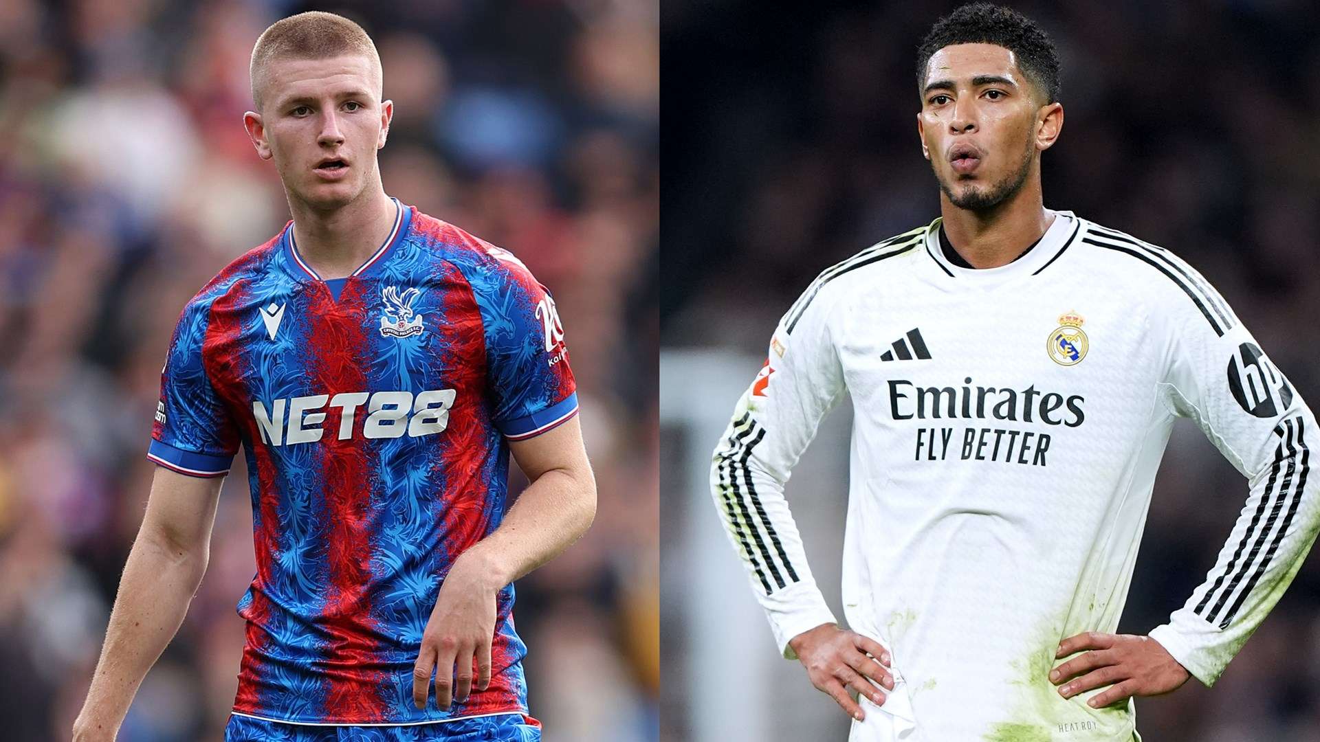 耀眼的明星 耀眼的明星